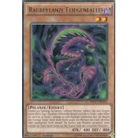 Raubpflanze Fliegenfalle MP17-DE131