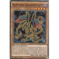 Raubpflanze Aalkannenpflanze MP17-DE132