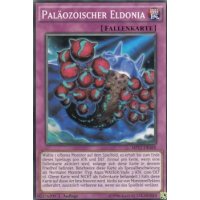 Paläozoischer Eldonia MP17-DE168