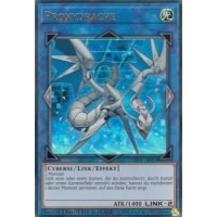 Proxydrache CT14-DE003