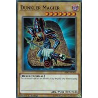 Dunkler Magier LEDD-DEA01