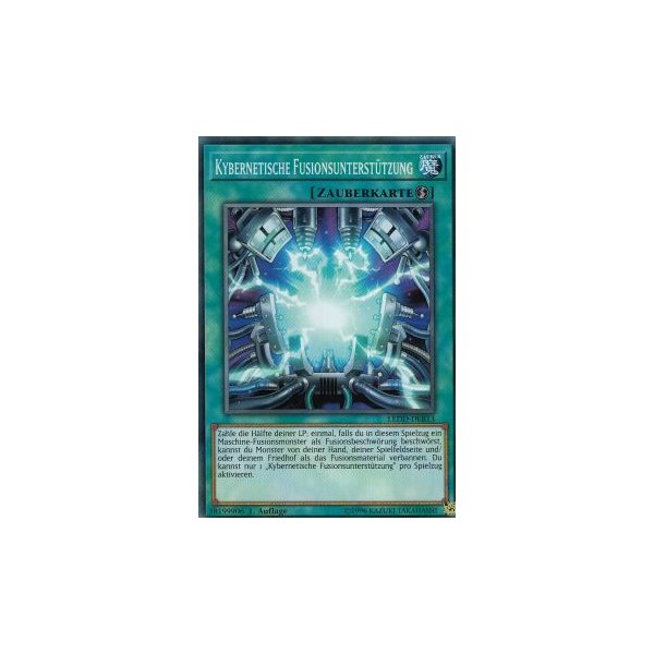 Kybernetische Fusionsunterst&uuml;tzung LEDD-DEB13