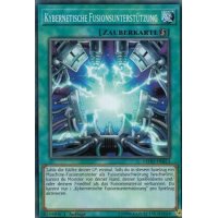 Kybernetische Fusionsunterstützung LEDD-DEB13