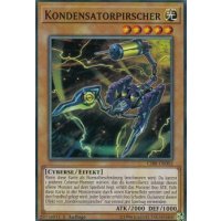 Kondensatorpirscher CIBR-DE002