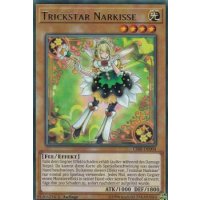 Trickstar Narkisse CIBR-DE004