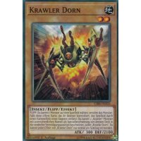 Krawler Dorn CIBR-DE016