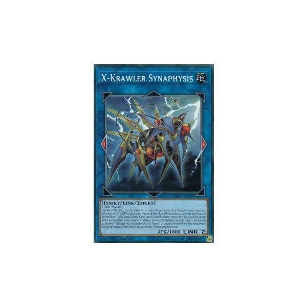 X-Krawler Synaphysis CIBR-DE048