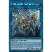 X-Krawler Synaphysis CIBR-DE048