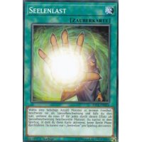 Seelenlast SDCL-DE024