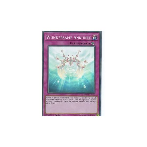 Wundersame Ankunft SPWA-DE060