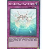 Wundersame Ankunft SPWA-DE060