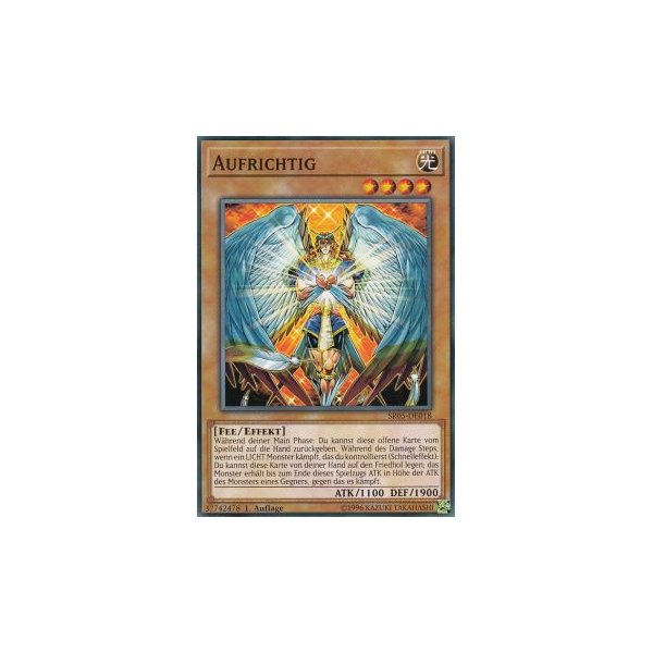 Aufrichtig SR05-DE018