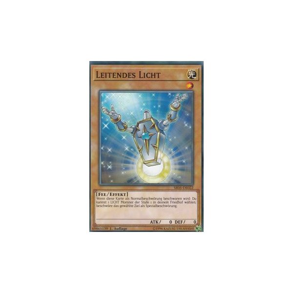 Leitendes Licht SR05-DE022