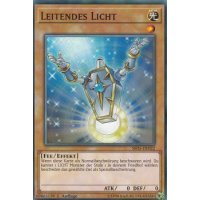 Leitendes Licht SR05-DE022