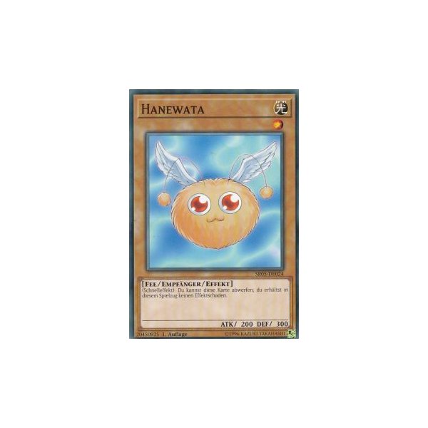 Hanewata SR05-DE024