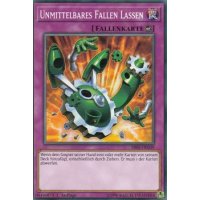 Unmittelbares Fallen Lassen SR05-DE039