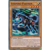 Striping-Partner EXFO-DE003