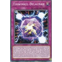 Tinwinkel-Delaunay EXFO-DE069