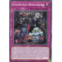Geistertrick Renovierung EXFO-DE074