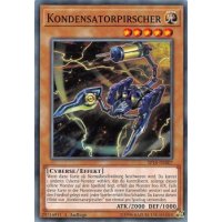 Kondensatorpirscher SP18-DE007
