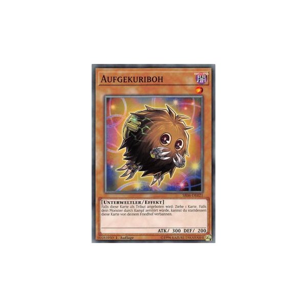 Aufgekuriboh SR06-DE021