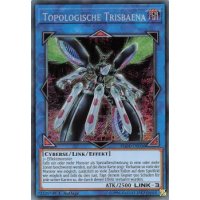 Topologische Trisbaena FLOD-DE036