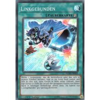 Linkgebunden FLOD-DE063