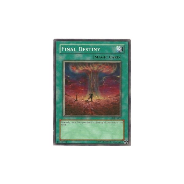 Final Destiny MRL-035