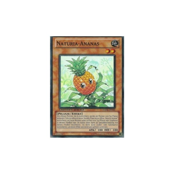 Naturia-Ananas HASE-DE002
