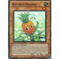 Naturia-Ananas