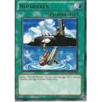 Reparieren DL12-DE014_lila