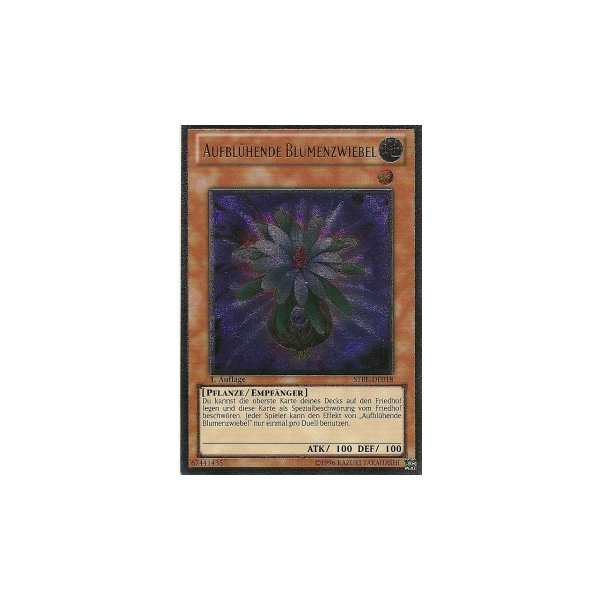 Aufbl&uuml;hende Blumenzwiebel (Ultimate Rare) STBL-DE018umr