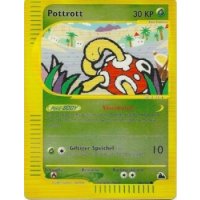 Pottrott REVERSE HOLO