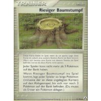 Riesiger Baumstumpf
