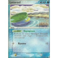Loturzel 66/100