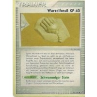 Wurzelfossil REVERSE HOLO