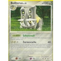 Bollterus