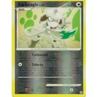 Farbeagle REVERSE HOLO