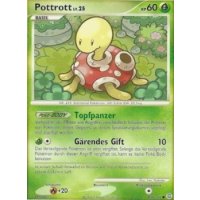 Pottrott