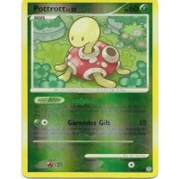 Pottrott REVERSE HOLO