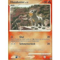 Hunduster Lv.13 069/106