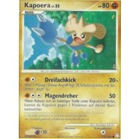 Kapoera Lv.25 101/146