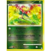 Knofensa Lv.5 085/146 Reverse Holo