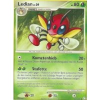 Ledian Lv.39 060/146