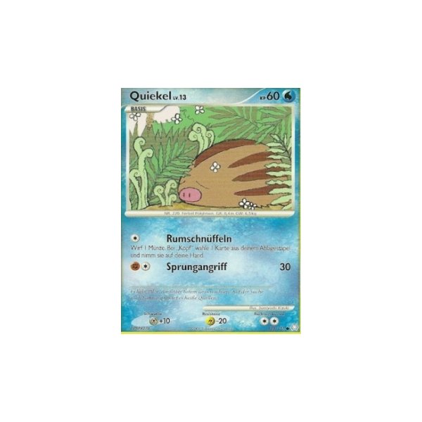 Quiekel Lv.13 123/146