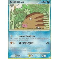 Quiekel Lv.13 123/146