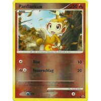 Panflam REVERSE HOLO