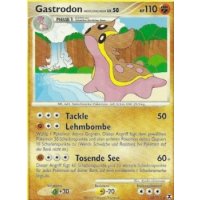 Gastrodon westliches Meer