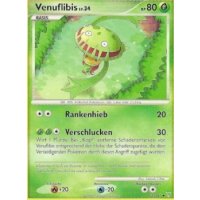 Venuflibis