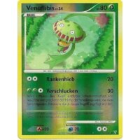 Venuflibis REVERSE HOLO